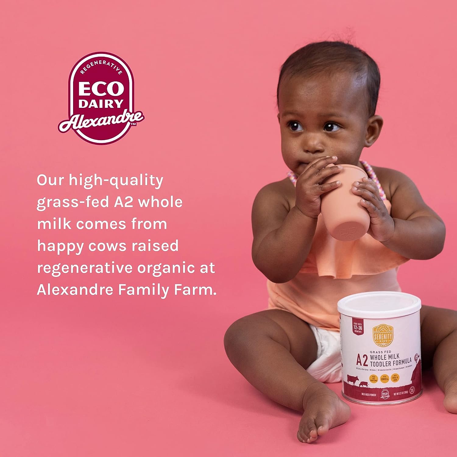 Serenity Kids Toddler Formula Powder Drink Made with Grass Fed Organic A2 Whole Milk | Easy to Digest, Clean Ingredients | Clean Label Project Purity Award Certified | 12.7 oz Can | 6 Count - Image 4